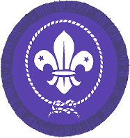 Scout Logo Newton Mearns