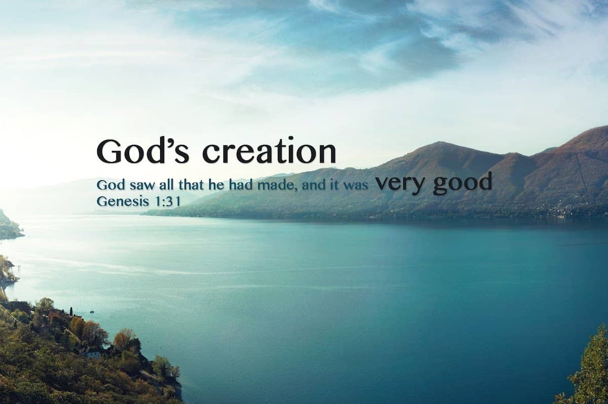 Thought for the day - Monday 4 May