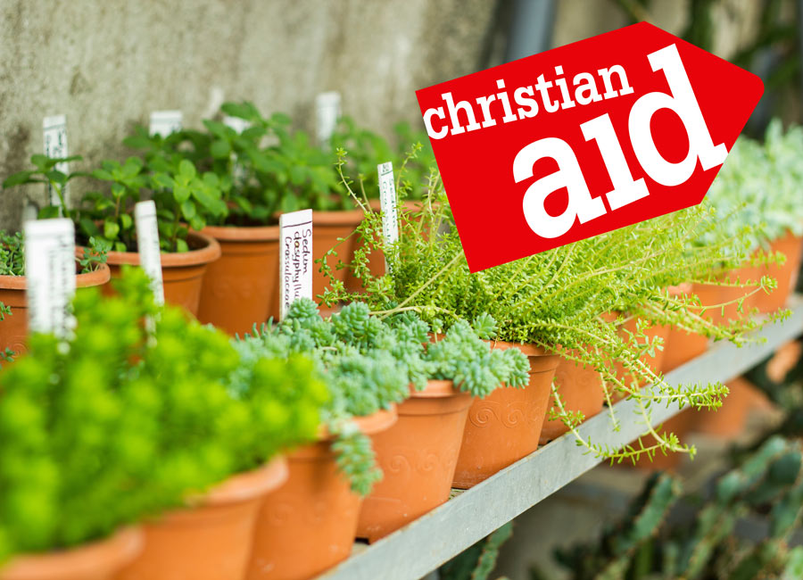 Christian Aid Plant Sale